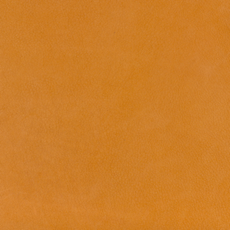 Swatch image for 1707 Duck Bill